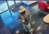 Gilroy bank robbed at gunpoint, suspect remains at large