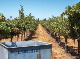 After public outcry, Santa Clara County supervisors order revisions to rural zoning proposal