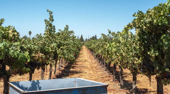 After public outcry, Santa Clara County supervisors order revisions to rural zoning proposal