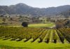 CordeValle purchases Clos La Chance winery
