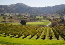 CordeValle purchases Clos La Chance winery