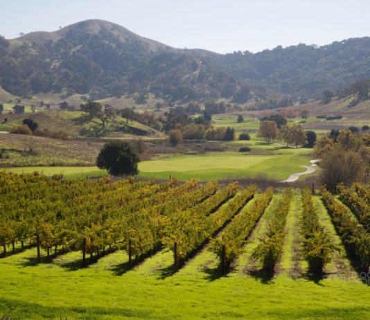 CordeValle purchases Clos La Chance winery