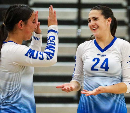 Mustangs volleyball continues on the rise