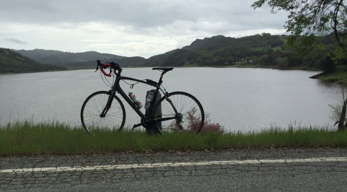 Spoking My Mind: A praise-filled penultimate piece