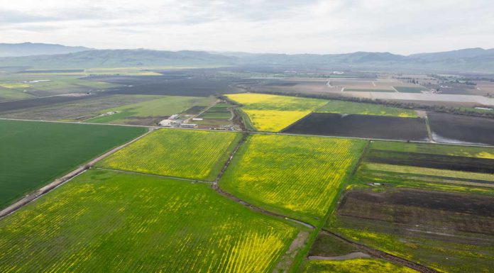Conservation groups buy 668 acres of South Valley farmland