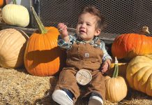 South Valley farm maintains Halloween fall tradition