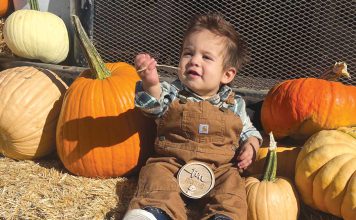 South Valley farm maintains Halloween fall tradition