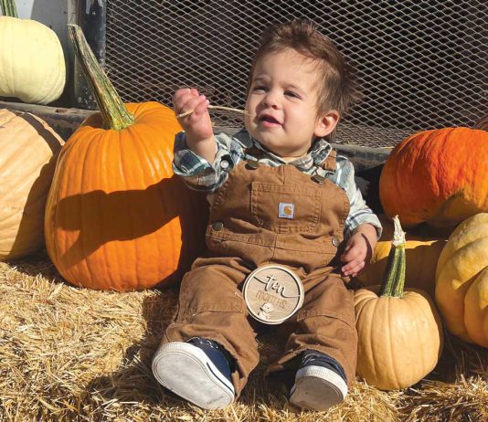 South Valley farm maintains Halloween fall tradition