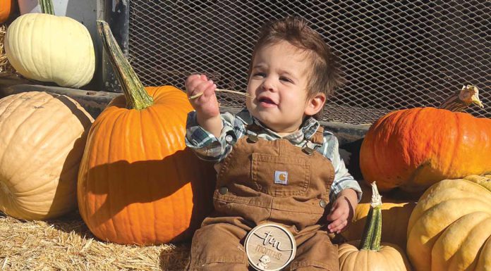 South Valley farm maintains Halloween fall tradition