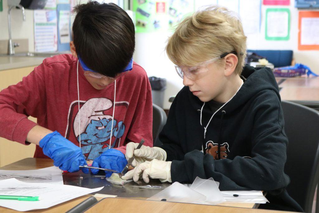 Gavilan College celebrates 25 years of Science Alive | Gilroy Dispatch ...