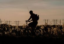 California gambling rules and South County business