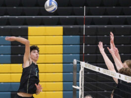Christopher volleyball rallies big to beat Serra in the CCS boys playoffs