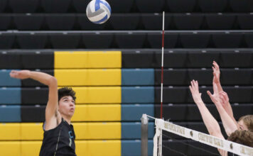 Christopher volleyball rallies big to beat Serra in the CCS boys playoffs