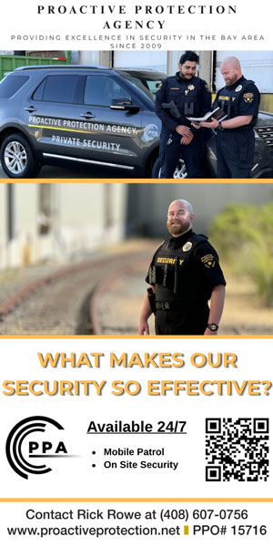 proactive protection agency, south county security