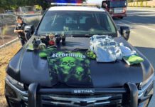 Retail theft ring suspects arrested at Hollister store