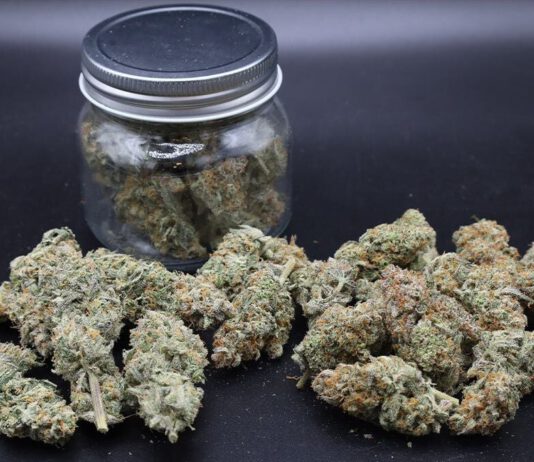 What South County gardeners should know before growing cannabis at home